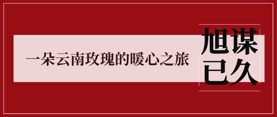 19_1585904343 19_1585904343
