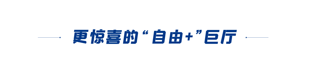 7_1597801173 7_1597801173