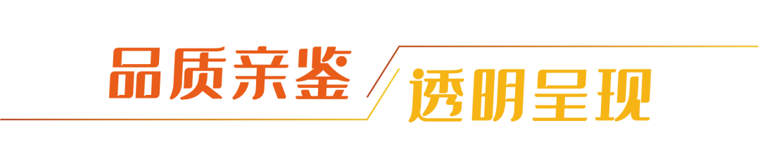 20221026085807_7808