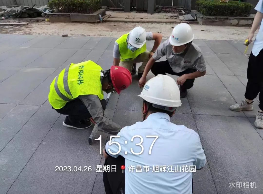 20230601180402_5797 20230601180402_5797