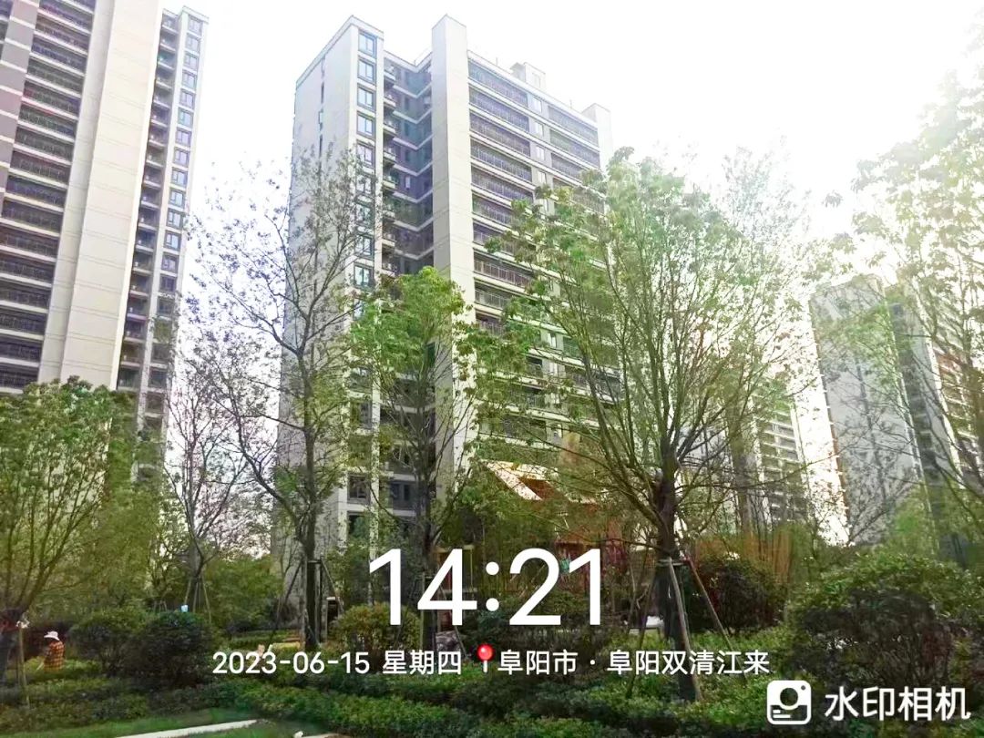 20230619092021_4931 20230619092021_4931